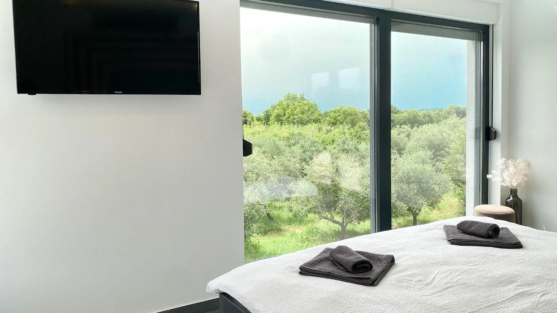 Modern Villa With Private Pool Near The Sea Liznjan
